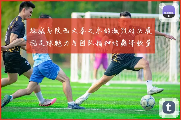 绿城与陕西大秦之水的激烈对决展现足球魅力与团队精神的巅峰较量