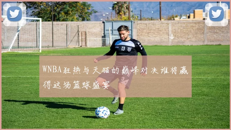 WNBA狂热与天猫的巅峰对决谁将赢得这场篮球盛宴