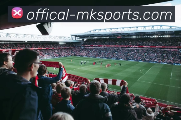 App Interface Preview