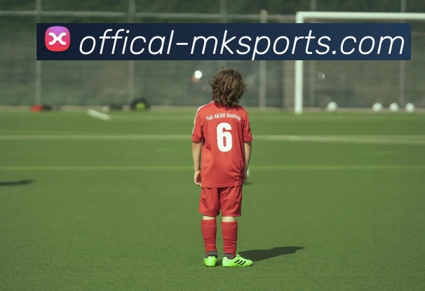 MK体育APP 封面图